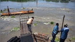 Yamuna floodplains have 9,000 hectares of land suitable for plantation