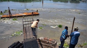 Yamuna floodplains have 9,000 hectares of land suitable for plantation