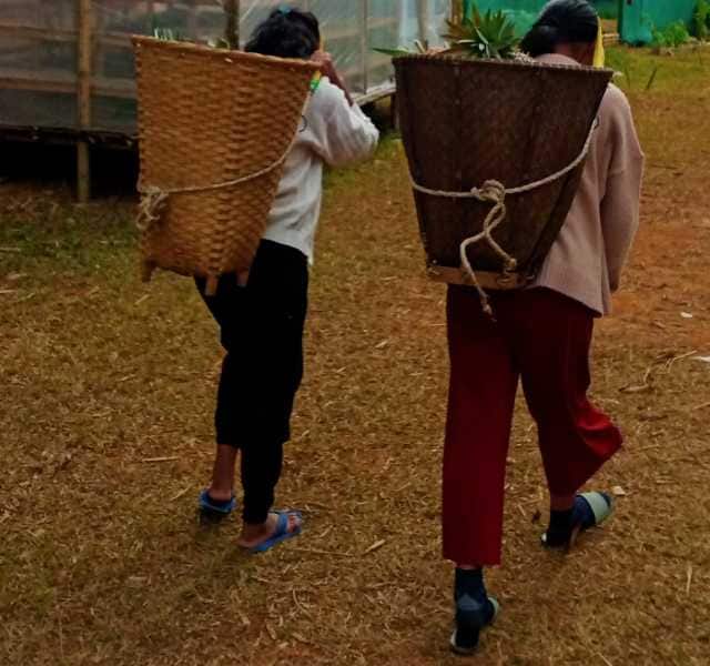 Women carrying farm produce near Nongpoh in Meghalaya. Image courtesy Indra Shekhar Singh