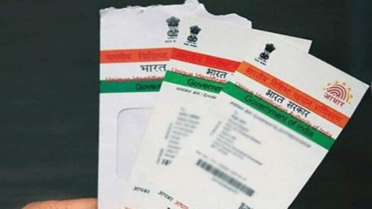 New awareness campaign on Aadhaar to focus on its day-to-day use in availing welfare schemes: UIDAI