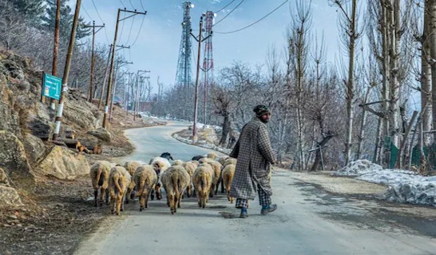 How abrogation of Article 370 helped tribals in J&K get equal rights How abrogation of Article 370 helped tribals in J&K get equal rights