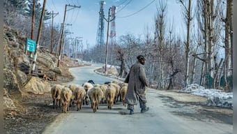 How abrogation of Article 370 helped tribals in J&K get equal rights