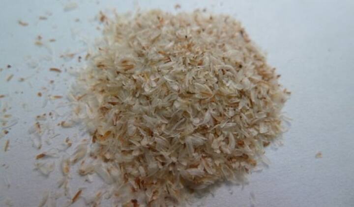 Here are some benefits and uses of Psyllium or Isabgol Here are some benefits and uses of Psyllium or Isabgol