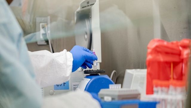 Zoonotic Langya found in China: What is this new virus infecting people? Zoonotic Langya found in China: What is this new virus infecting people?