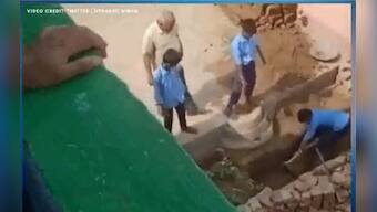 Watch: Bihar government school students chop wood, cut stones; disciplinary action taken