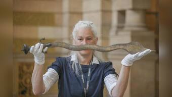 'First for a UK museum service': Glasgow holds ceremony to repatriate seven artefacts to India