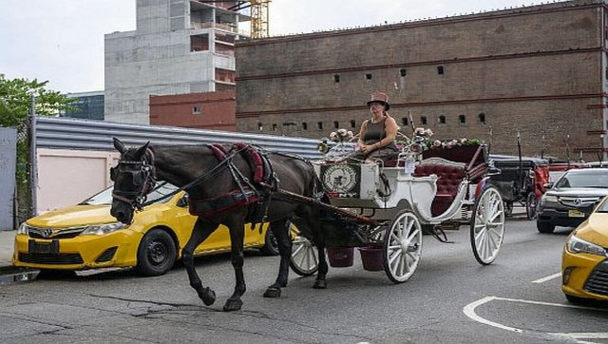 NYC launches new campaign to outlaw horse-drawn carriages as inhumane