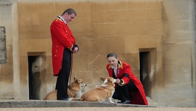 Corgis pony and an uninvited spider The unusual guests at the Queens funeral