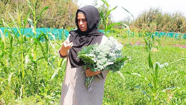 firstpost.com - Irshad Hussain September 24 - Bliss and business of organic farming in Kashmir