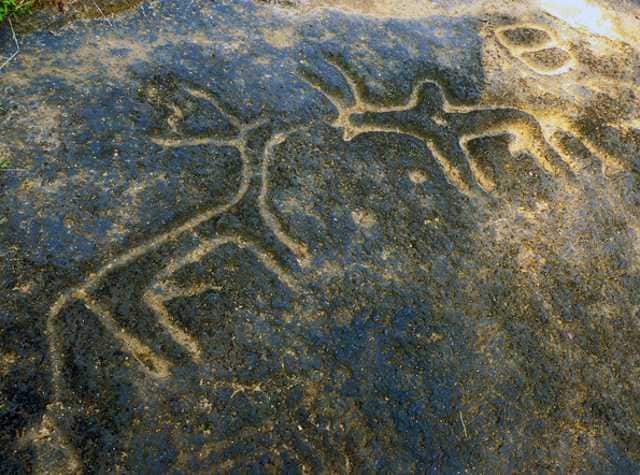 Usgalimal rock engravings. Image courtesy Wikipedia