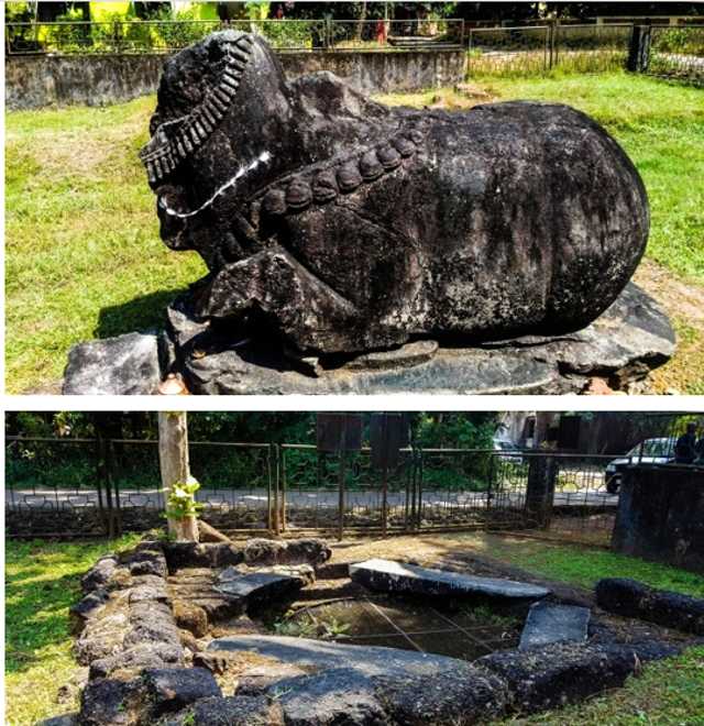 The only remaining evidence in this archaeological site is the large 7th century CE Nandi. Vandalised and decapitated, it stands as a sole evidence and witness of the once glorious Chalukya empire. The temple site in Chandor Cotta was first discovered by Rev. Fr. Heras in 1929. The ASI has made two excavations at this site, one in 1974, and the other in 1999-2000. The site now has a lone Nandi and a step-well, which is now covered with a wire mesh grill to avoid accidents. Image courtesy Monidipa Bose Dey