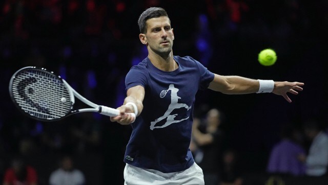 Novak Djokovic has new insect species named after him; see photos