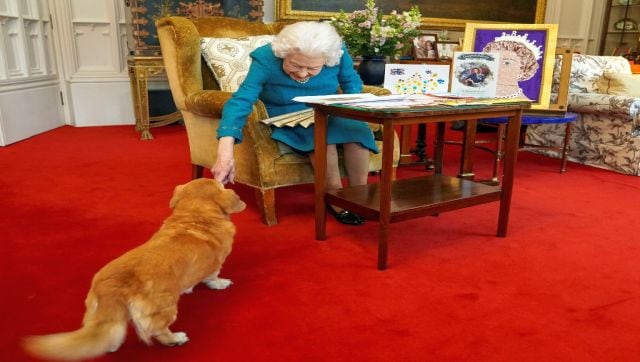 The Crown and the Corgis What happens to Queen Elizabeths beloved pets now