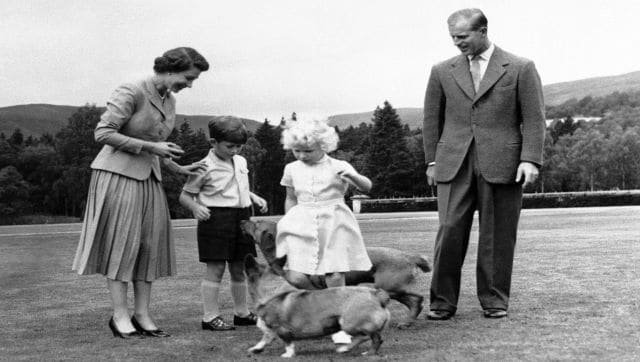 The Crown and the Corgis What happens to Queen Elizabeths beloved pets now
