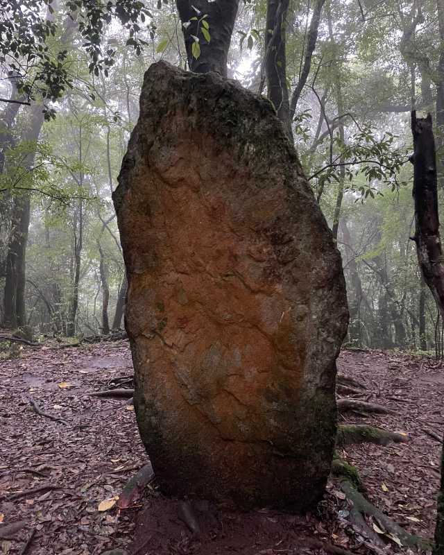 Touch of ethereal in Meghalaya Gods of the sacred grove