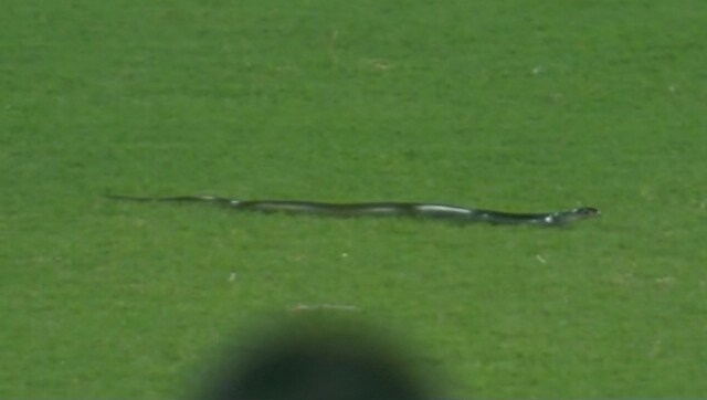 IND Vs SA After Snake Halted Guwahati T20I ACA Secretary Saikia Jokes 