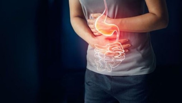 Gastrointestinal wellness: Healthy lifestyle habits for a happy gut