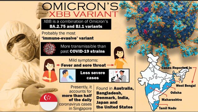 印度4个邦出现新XBB covid - 19毒株我们应该对这种免疫变异保持警惕吗