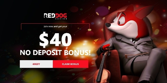 pokies no deposit bonus codes