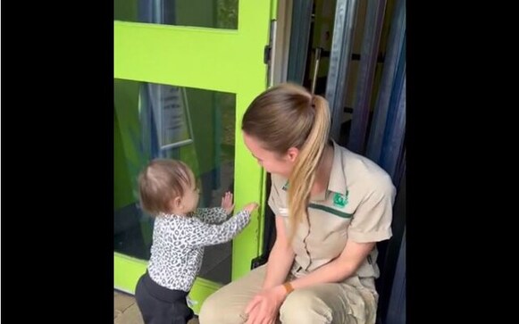 Watch: Toddler's attempt to 'break' into Melbourne Zoo leaves internet chuckling Watch: Toddler's attempt to 'break' into Melbourne Zoo leaves internet chuckling