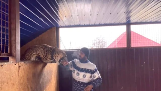 Andhra doctor appeals to Indian government to rescue his pet jaguar from Ukraine Andhra doctor appeals to Indian government to rescue his pet jaguar from Ukraine