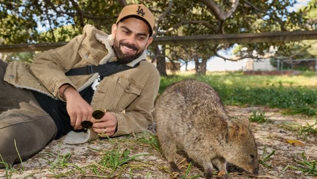 After the lawn bowl session, Indian players, including Virat Kohli, clicked photos with the wildlife animals at the island. BCCI