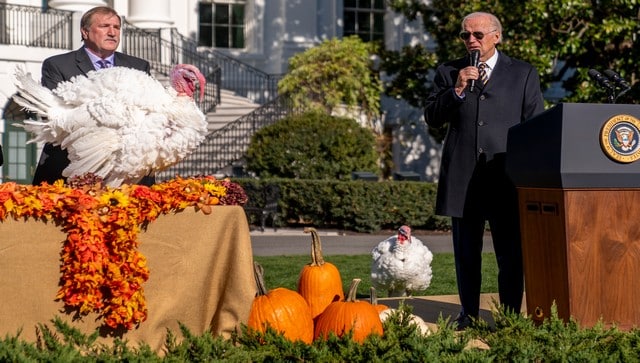 No Fowl Play: Why US presidents pardon turkeys on Thanksgiving
