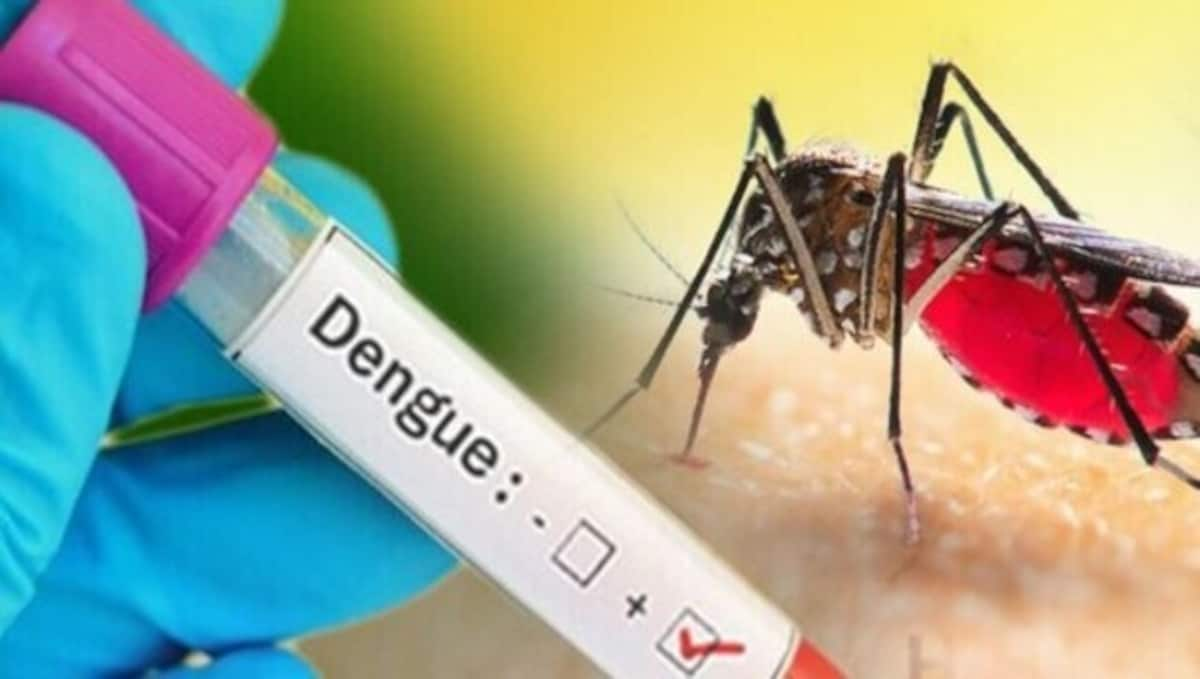 dengue patient