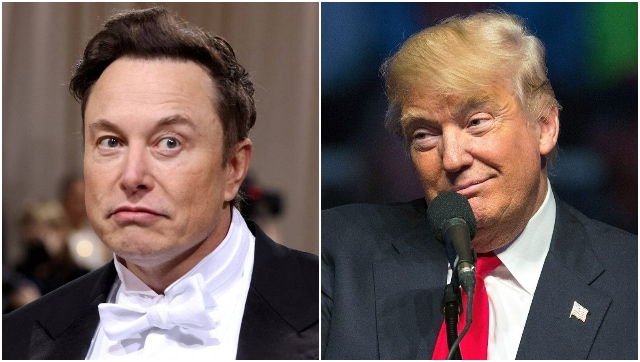 Donald Trump says he won’t return to Twitter after Elon Musk reinstates the former US President’s account
