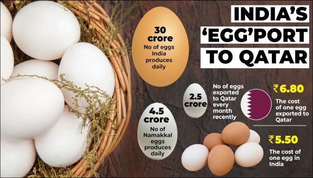 Ande Ka Funda Why Qatar is buying more eggs from Tamil Nadu this World Cup