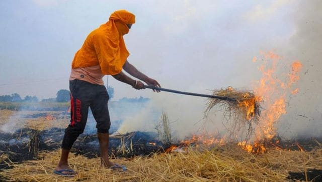 旁遮普邦的污染是如何到达德里州农业部长对胡茬燃烧的数据揭示的