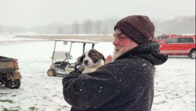 Airplane with over 56 rescue dogs onboard crashes on golf course Airplane with over 56 rescue dogs onboard crashes on golf course