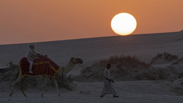 What is camel flu a virus deadlier than COVID that could strike Qatar amid FIFA World Cup 2022