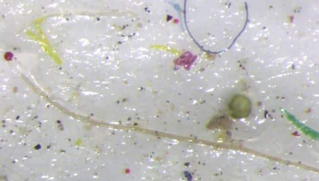microplastics