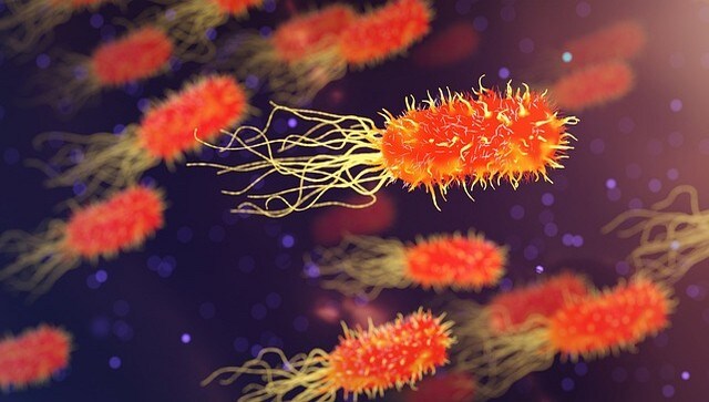 Strep A death toll among children in UK rises to 15 Strep A death toll among children in UK rises to 15