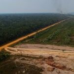 One third of Amazon 'degraded' by human activity, drought