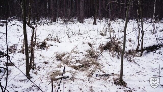 Ukrainian National Guard shares photos of snipers hiding in plain sight, asks users to locate them