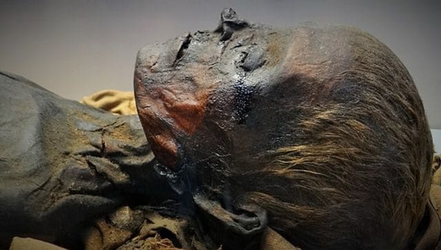 Egyptian mummy 