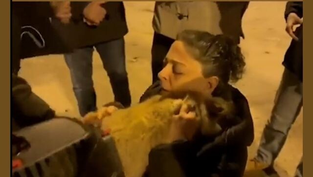 Watch: Owners reunite with their cats in Turkey after earthquake, leave internet emotional Watch: Owners reunite with their cats in Turkey after earthquake, leave internet emotional