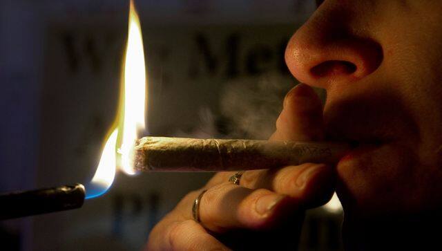 cannabis use 