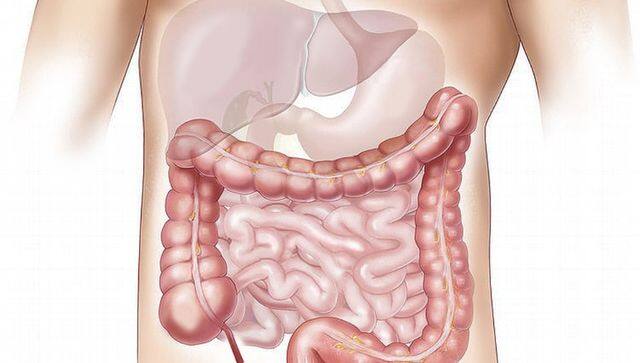 Vinyl chloride effect on liver