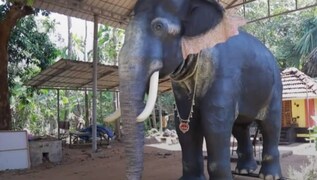Trunk Call: The Kerala temple that is replacing elephants with robots