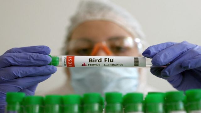 Bird flu kills girl in Cambodia, others fall sick: Is this the beginning of a new pandemic? Bird flu kills girl in Cambodia, others fall sick: Is this the beginning of a new pandemic?