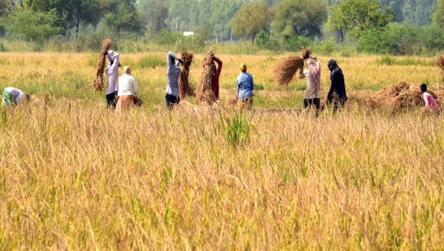 Heat Fury in February Is India seeing an early summer