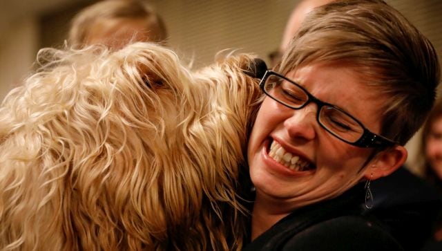 Lassie' dog breed at risk of dying out as numbers fall