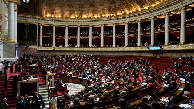 French govt survives no-confidence votes in pension fight French govt survives no-confidence votes in pension fight