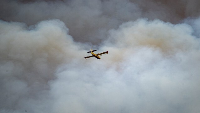 Burnt Out: Spain's first wildfire of the year burns down 3,000 hectares Burnt Out: Spain's first wildfire of the year burns down 3,000 hectares