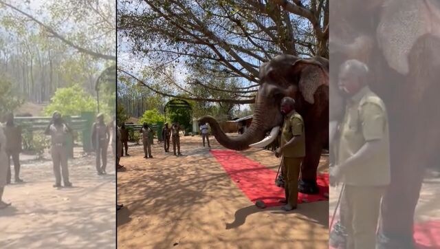 Kumki elephant Kaleem retires, receives guard of honour from forest department