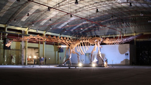 World’s Largest Discovered Dinosaur Goes On Display At London's Natural ...