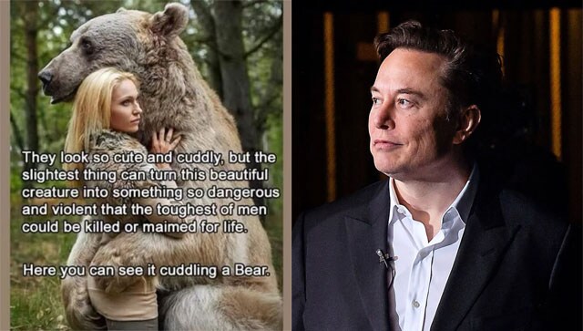 Elon Musk shares a misogynist meme of a bear hugging a woman, says 'The slightest thing can turn into someone violent' Elon Musk shares a misogynist meme of a bear hugging a woman, says 'The slightest thing can turn into someone violent'